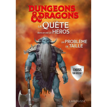 Dungeons & Dragons : La Quête dont on est le héros - Un problème de taille