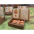 Quacksalber von Quedlinburg - Basic Game Token Boxes 9