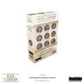 Hail Caesar Epic Battles - Carthaginian Casualty Markers 0