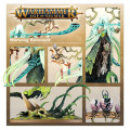 Age of Sigmar : Order - Sylvaneth Warsong Revenant 2