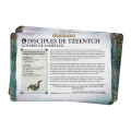 Age of Sigmar : Pack de Faction - Disciples of Tzeentch 2