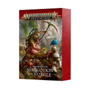 Age of Sigmar: Faction Pack - Maggotkin of Nurgle