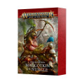 Age of Sigmar: Faction Pack - Maggotkin of Nurgle 0