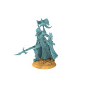 Space Elves - Lord Pirate - ImperitumArt 2