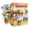 Ecosystem - Savanna 0