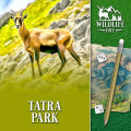 Wildlife Dice: Tatra Park 0