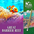 Wildlife Dice: Great Barrier Reef 0