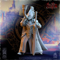 The Beholder Miniatures - Elfes - Commandement d'Ashur 11