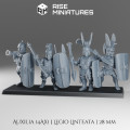 Rise Miniatures - Samnites Wars - Legio Linteata - 28mm 1