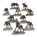 Age of Sigmar : Soulblight Gravelords- Dire Wolves 1