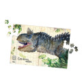 Coffret de 3 puzzles Dinosaures 1