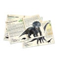 Coffret de 3 puzzles Dinosaures 4