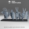 Rise Miniatures - Samnite Wars - Armée Complète Samnite - 28/32 mm 10