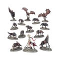 Age of Sigmar : Soulblight Gravelords - Crocs de la Reine de Sang 7