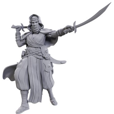 Pathfinder Deepcuts Unpainted Miniatures: Desert Giant