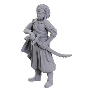 D&D Nolzur's Marvelous Unpainted Miniatures: Ansalon Human Rogue