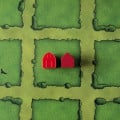 Agricola - Barns 3D 27