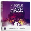 Purple Haze - Force Recon Stingray 0