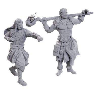 D&D Nolzurs Marvelous Miniatures: Archdruid & Martial Art Adept