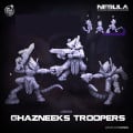 Cast n Play - Nebula - Ghazneeks Troopers 0