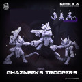 Cast n Play - Nebula - Ghazneeks Troopers 1