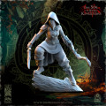 The Beholder Miniatures - Sylvains - Ombres 11