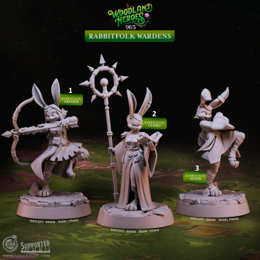 Cast n Play - Héros de la Fôret - Peuple Lapin