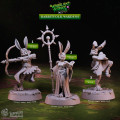 Cast n Play - Héros de la Fôret - Peuple Lapin 2