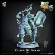 Cast n Play - Comtes en Haute Mer - Capitaine Gawan