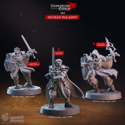Cast n Play - Guilde du Donjon - Paladin Humain