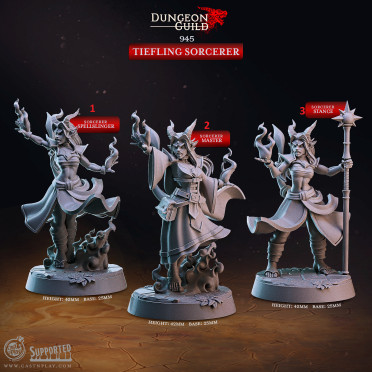 Cast n Play - Guilde du Donjon - Sorcier Tieffelin