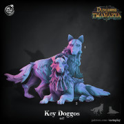 Cast n Play - Donjon de Thamarya - Chiens aux clés