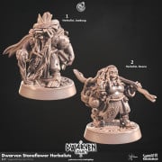 Cast n Play - Dwarven Legac - Stoneflower Herbalists