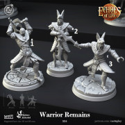 Cast n Play - Echoes of Life - Warrior Remains