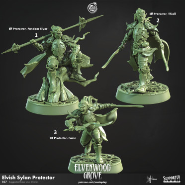Cast n Play - Elvenwood Grove - Protectors
