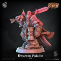 Cast n Play - Guilde des Aventuriers - Paladin Nain 0