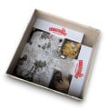 Rangement insert 3D compatible Zombicide - White Death 4