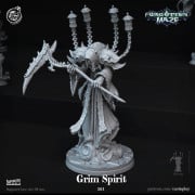 Cast n Play - Forgotten Maze - Grim Spirit
