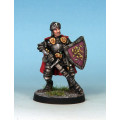 7TV - Paladin - Plate & Shield 0