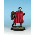 7TV - Paladin - Plate & Shield 4