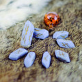Stone Shaped D6 and D4 Dice Set 1