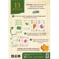 13 Feuilles 2