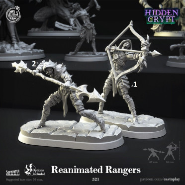 Cast n Play - Crypte Cachée - Rangers Réanimés