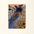 Popinjay Playing Cards 4
