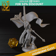 Boite de Titan Forge – Highbornes Elves – Standard Bearer