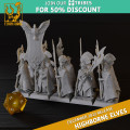 Titan Forges – Highbornes Elves – Royal Guards with EMC 0