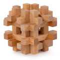 Brain Puzzle N05: Cerebellum 0
