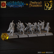 Boite de Titan Forge – Highbornes Elves – Sister of the Phoenix