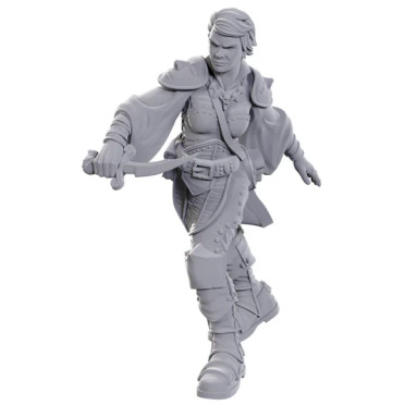 D&D Nolzur's Marvelous Miniatures: Swashbuckler