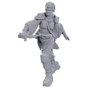 D&D Nolzur's Marvelous Miniatures: Swashbuckler